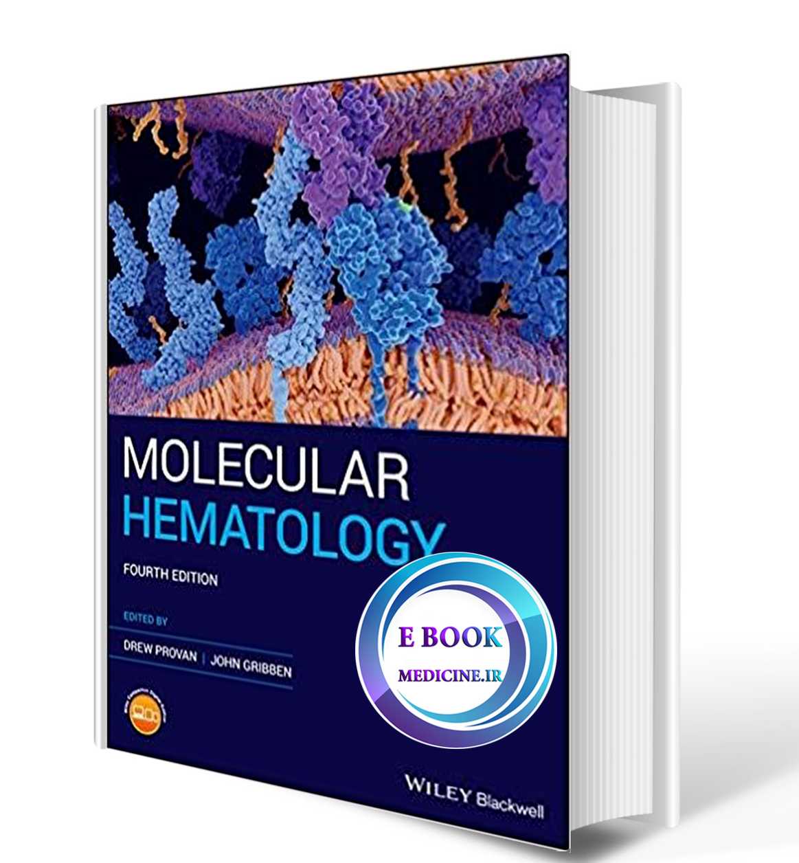 دانلود کتاب Molecular Hematology 4th Edition 2020 